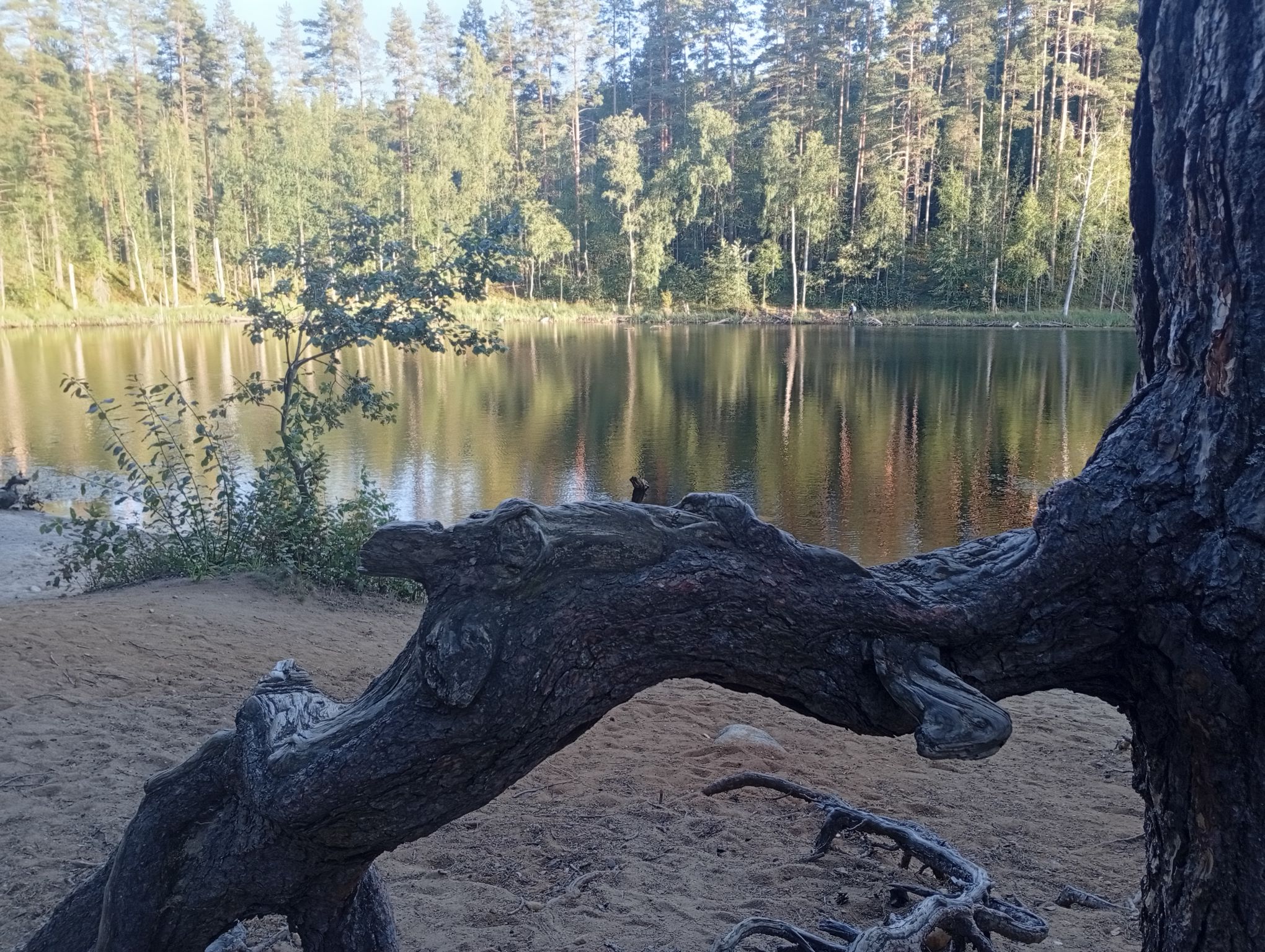 IMG_20260809_194940.jpeg