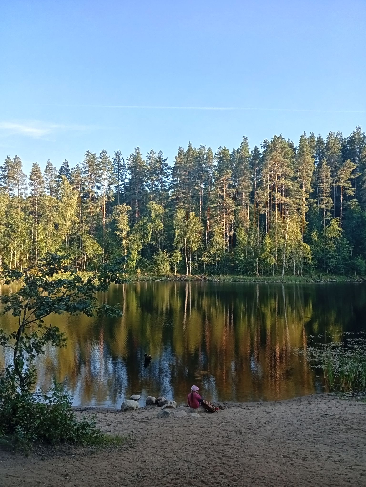 IMG_20260809_195016.jpeg