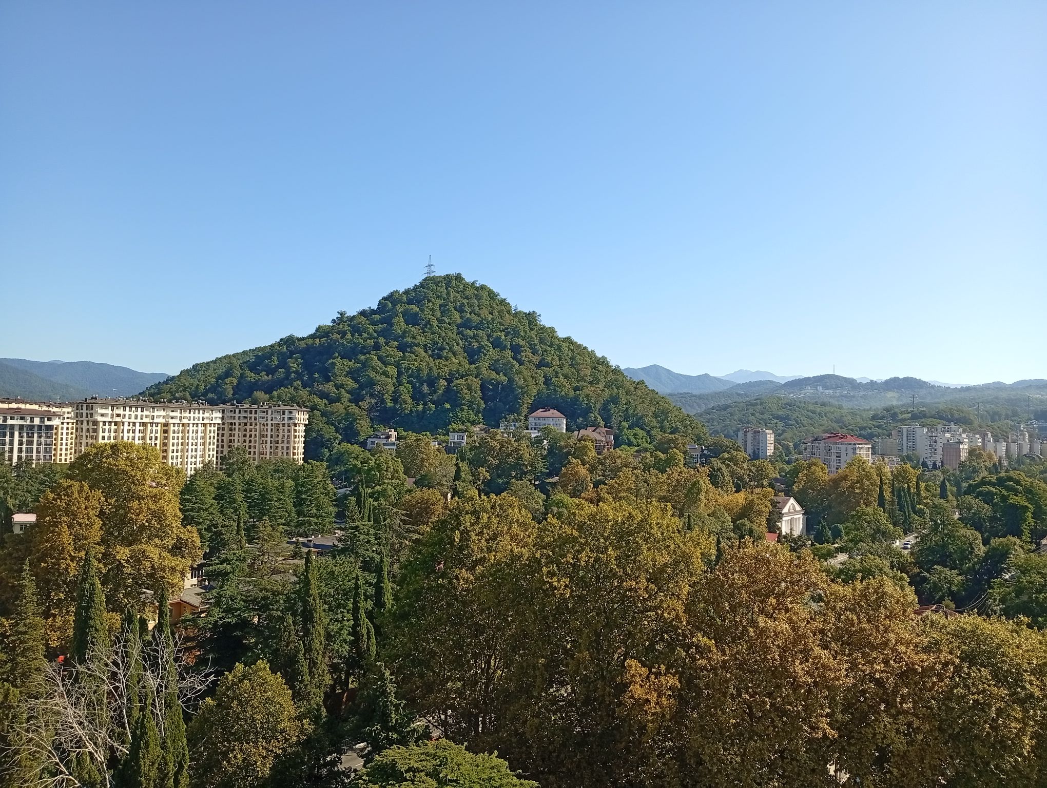 IMG_20260822_090442.jpeg