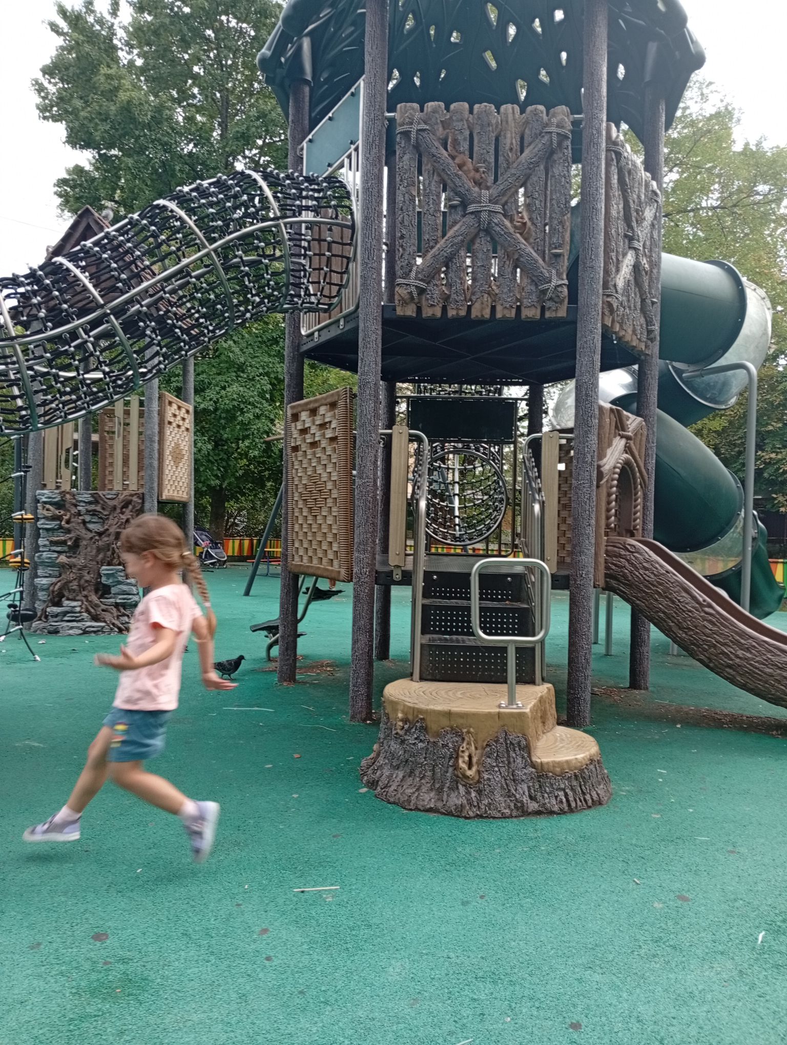 IMG_20260824_170440.jpeg