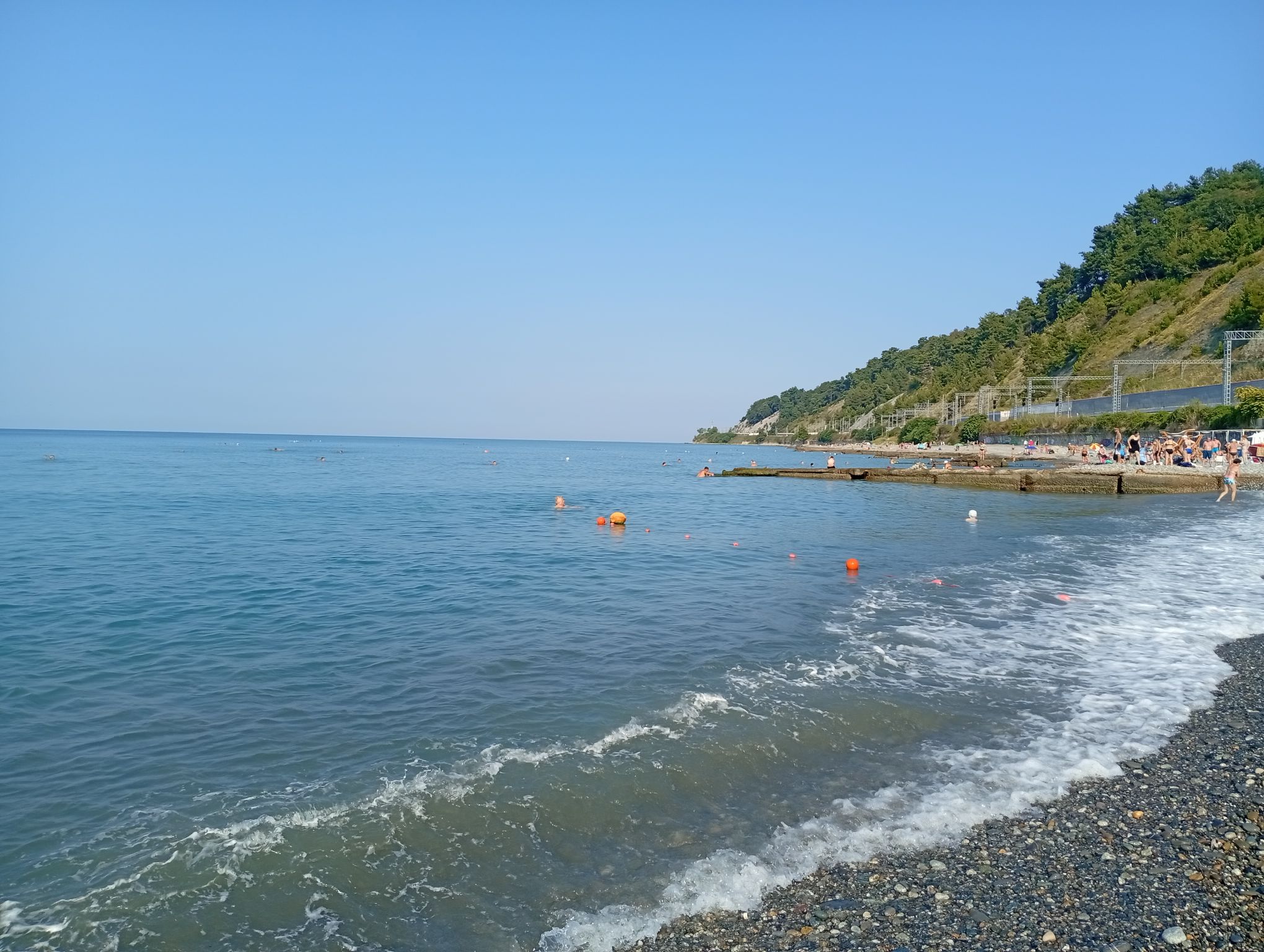 IMG_20260825_085051.jpeg