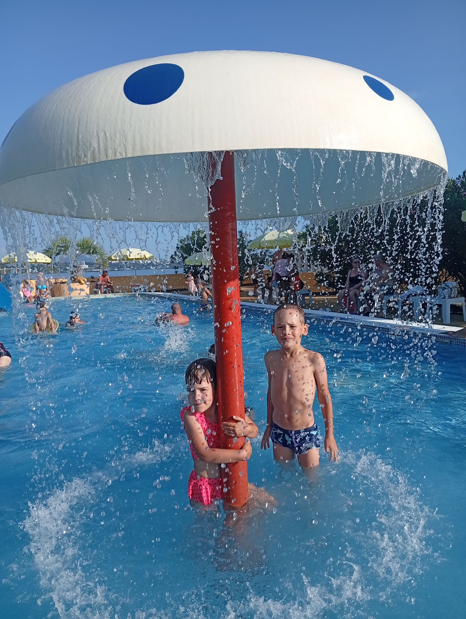 IMG_20260826_165752.jpeg