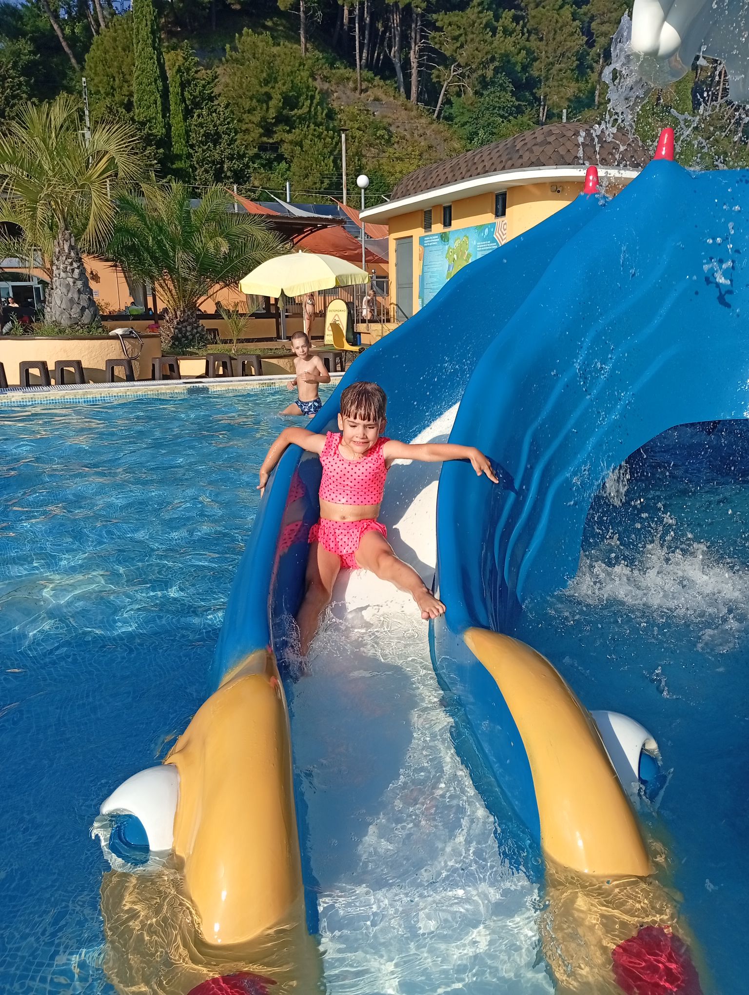 IMG_20260826_170030.jpeg
