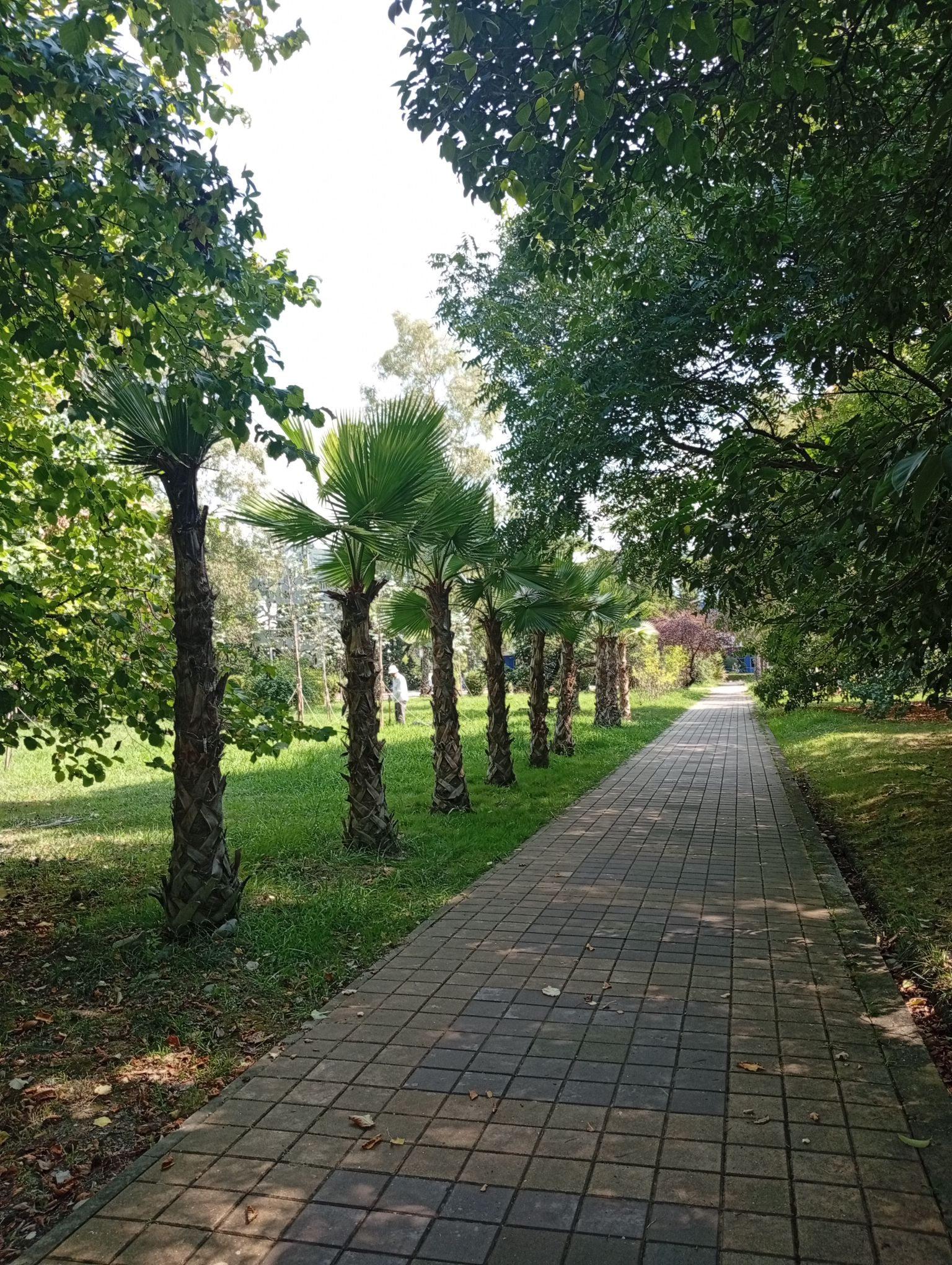 IMG_20260827_110703.jpeg
