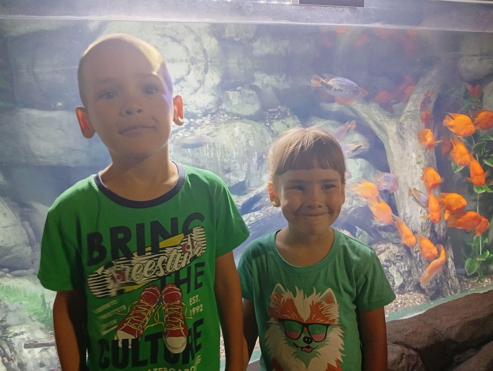 IMG_20260827_112717.jpeg