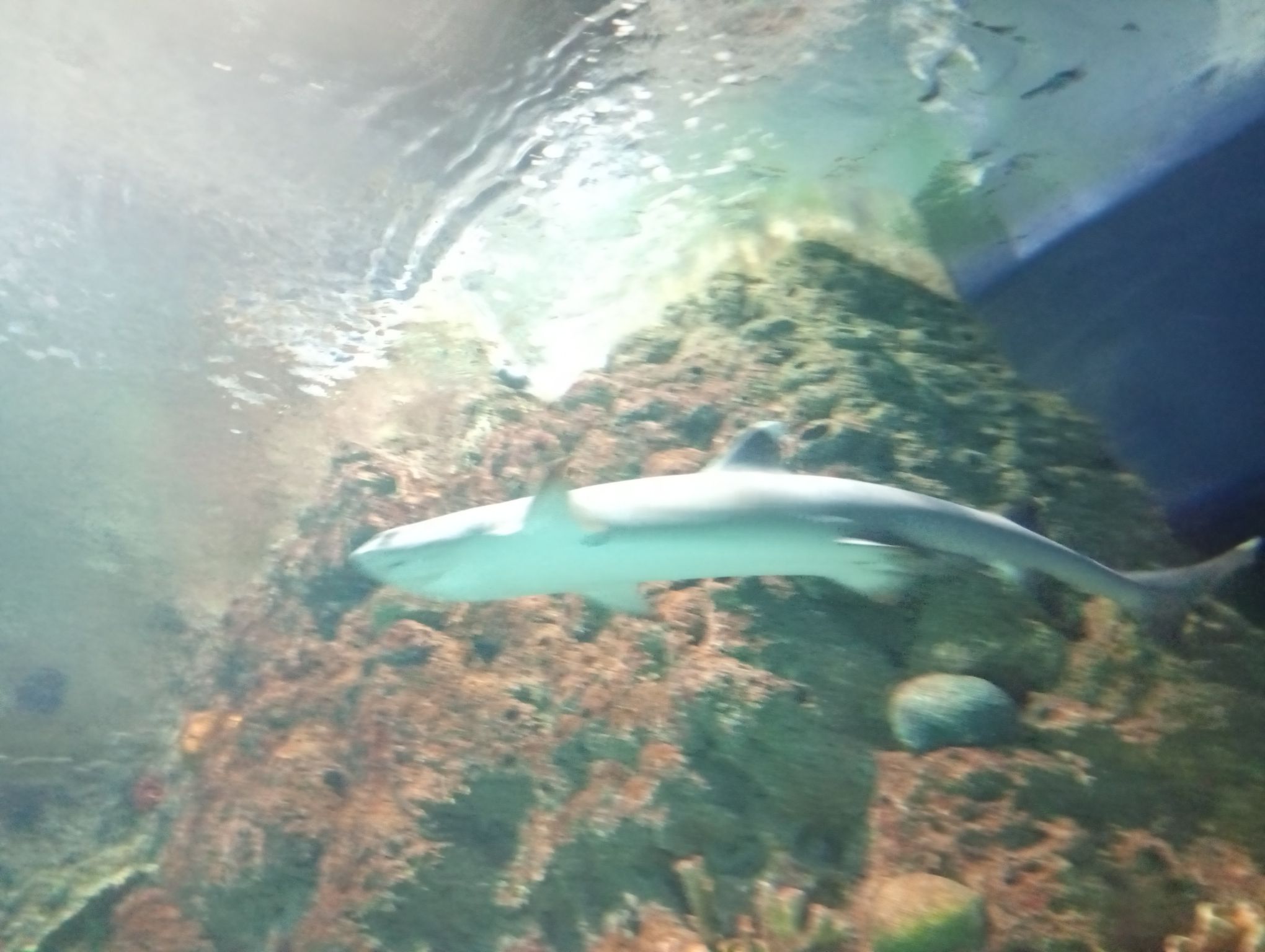 IMG_20260827_115348.jpeg