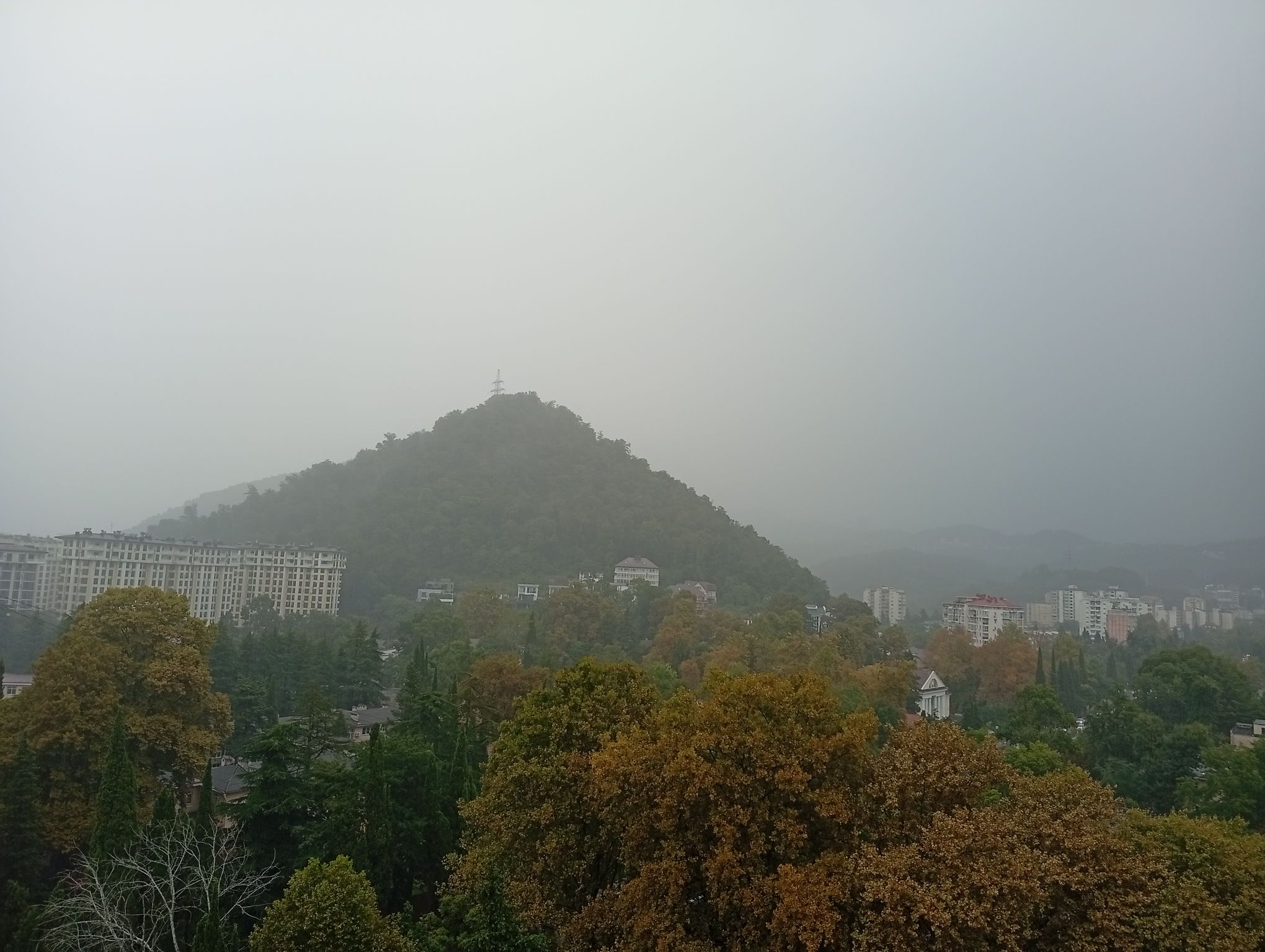 IMG_20260827_173346.jpeg