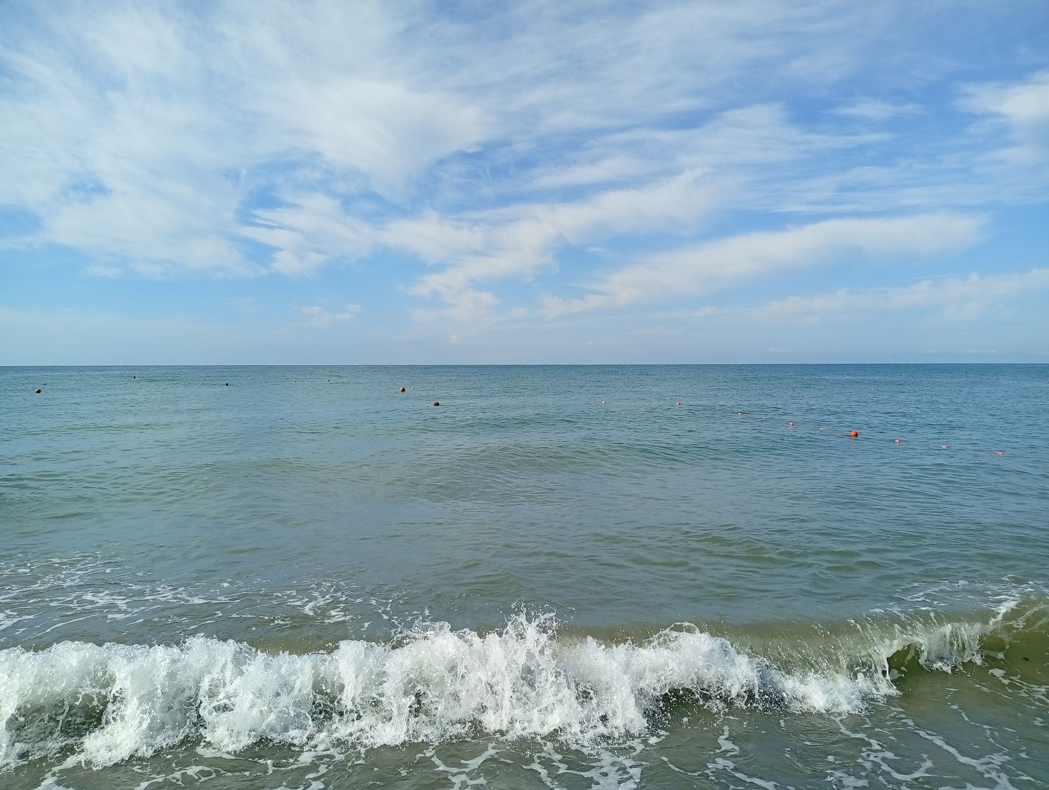 IMG_20260828_085852.jpeg