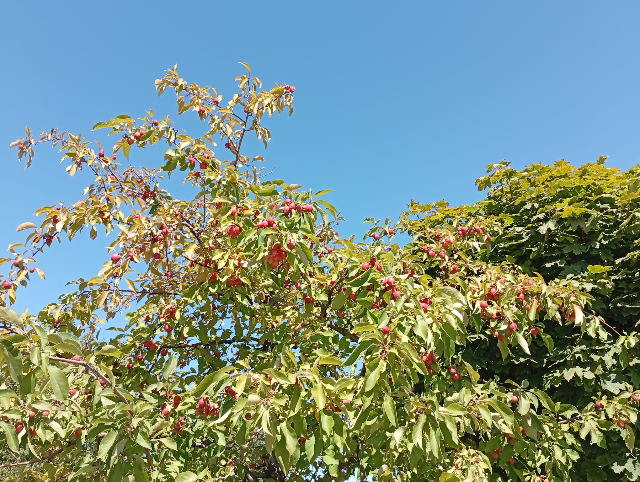 IMG_20260830_121228.jpeg