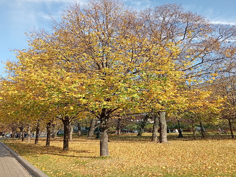 IMG_20261024_122202.jpeg