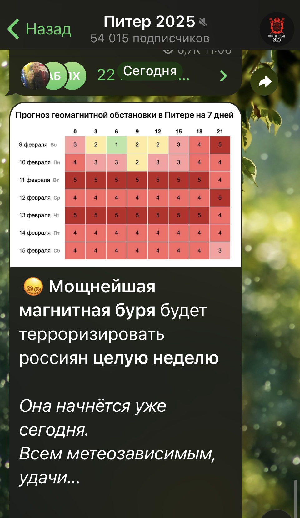 IMG_2106.jpeg
