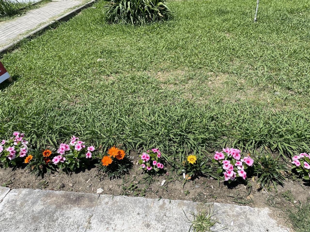 IMG_2286.jpeg