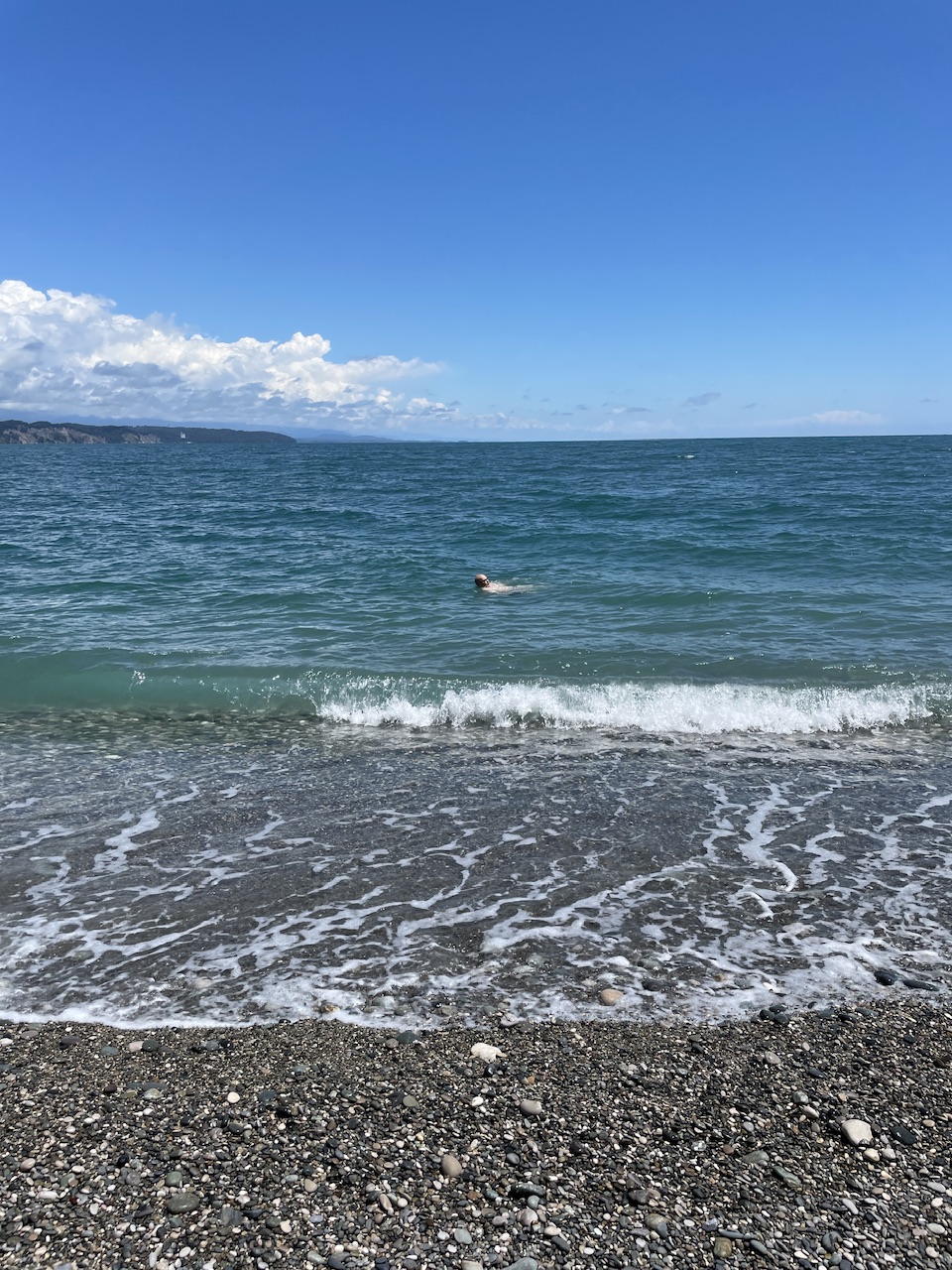 IMG_2295.jpeg