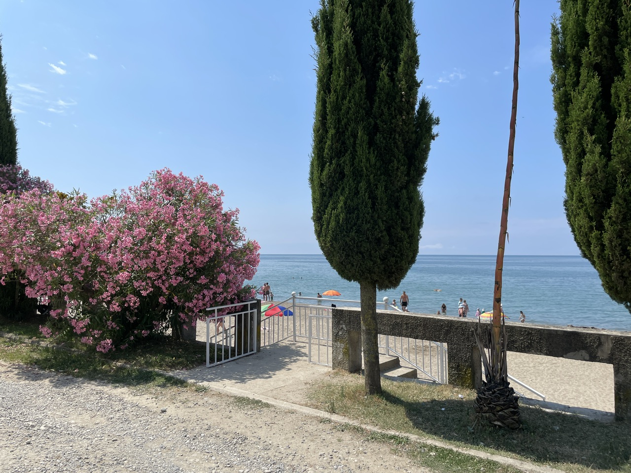 IMG_2505.jpeg