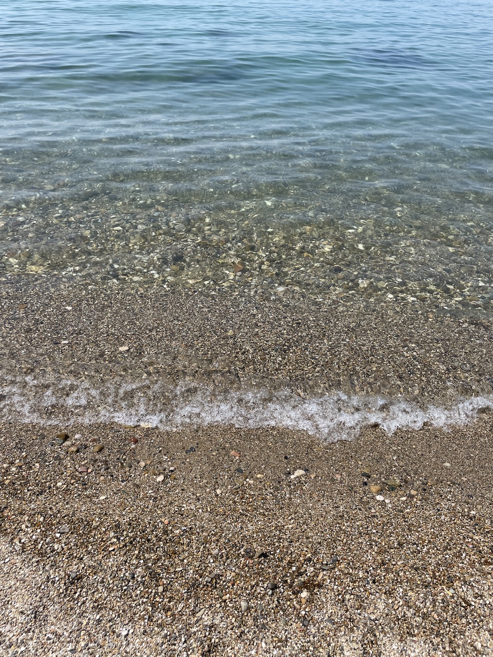 IMG_2541.jpeg