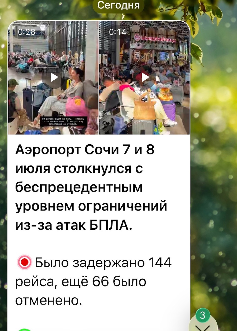 IMG_2737.jpeg