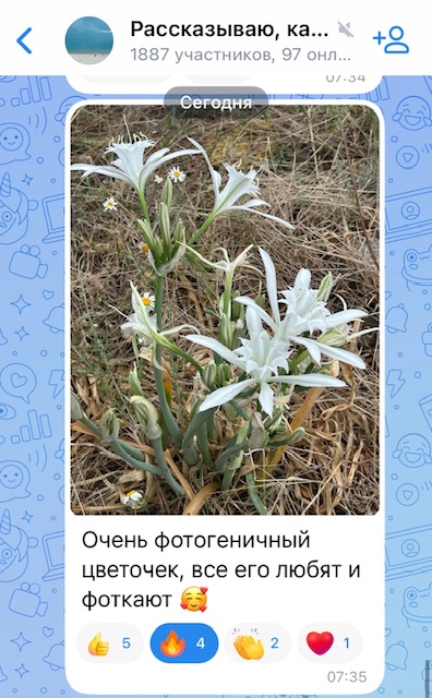 IMG_2962.jpeg