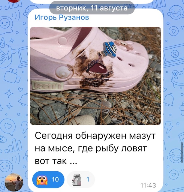 IMG_3416.jpeg