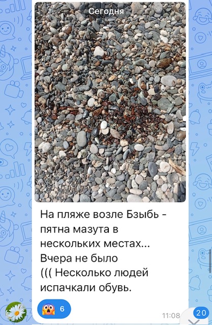 IMG_3419.jpeg