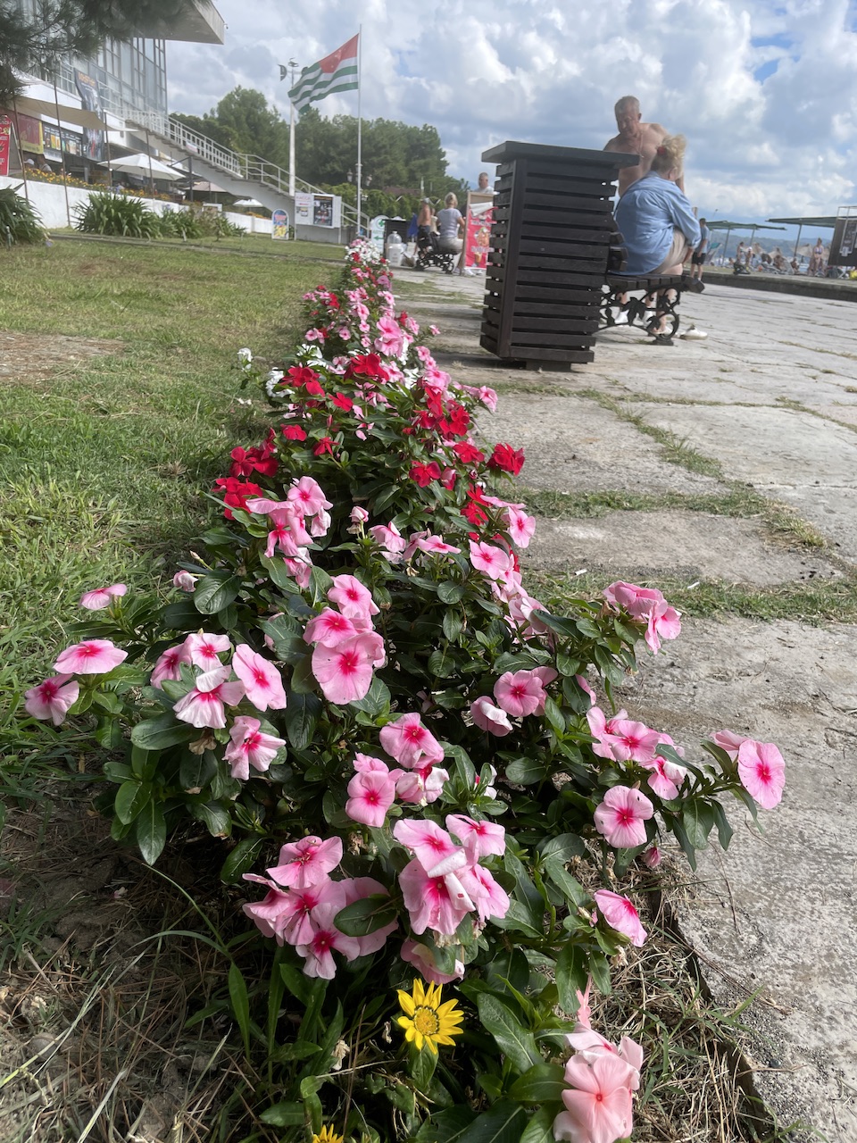 IMG_3821.jpeg