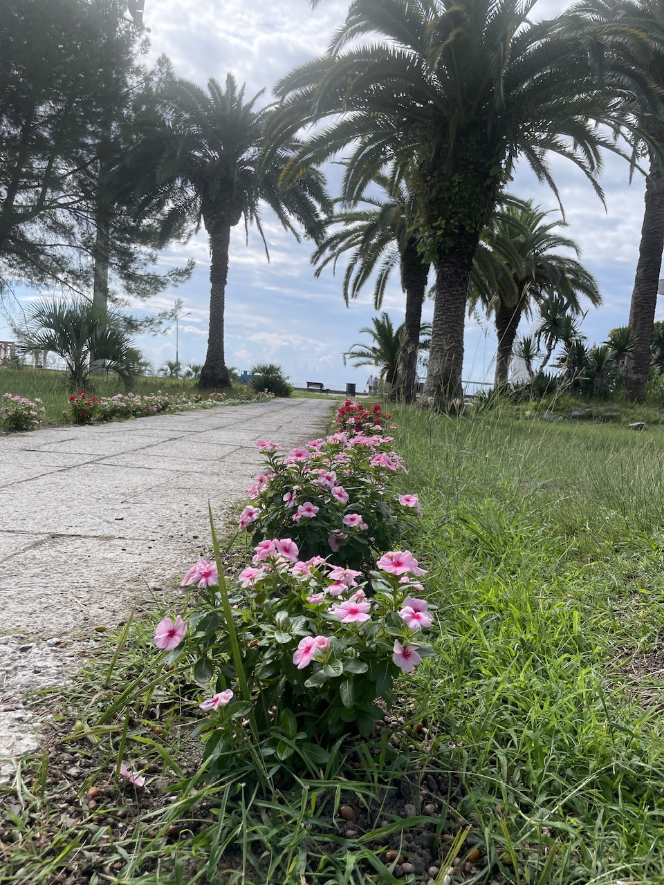 IMG_3824.jpeg