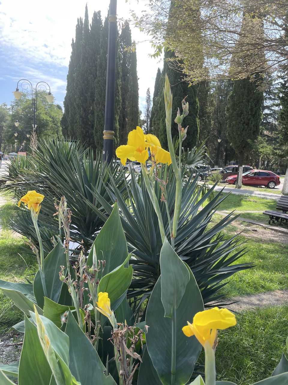 IMG_3854.jpeg