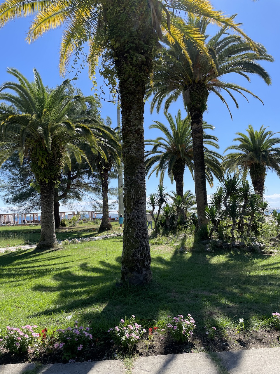 IMG_4018.jpeg