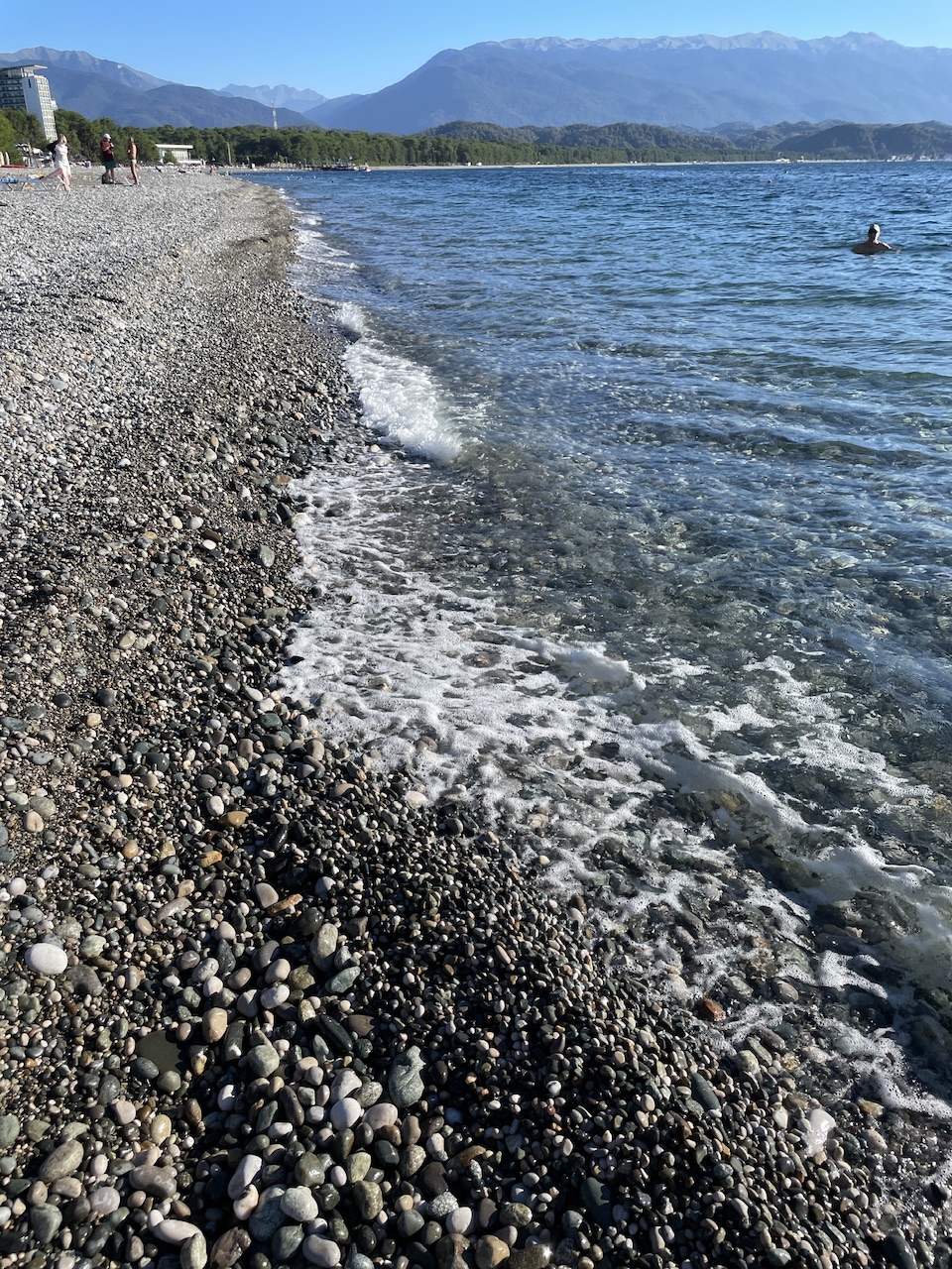 IMG_4134.jpeg