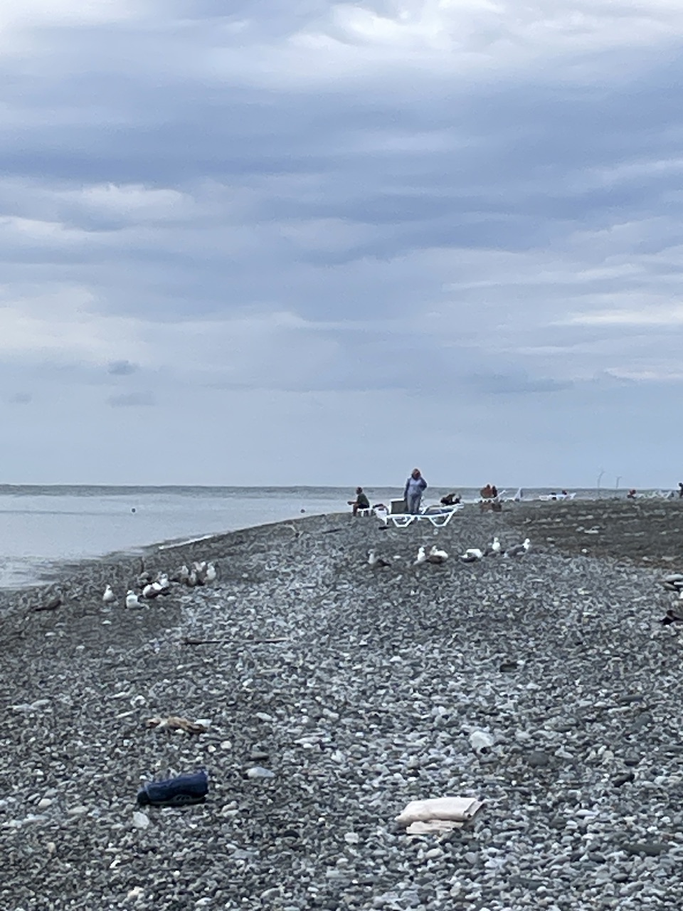 IMG_4357.jpeg