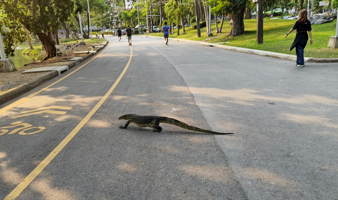 IMG_501 Bangkok 2026.jpg