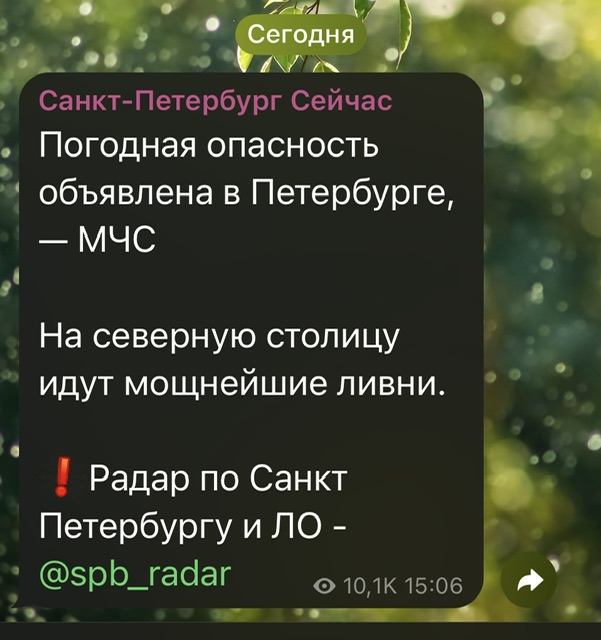 IMG_5471.jpeg