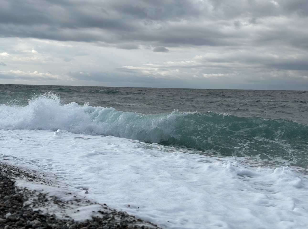 IMG_7315.jpeg