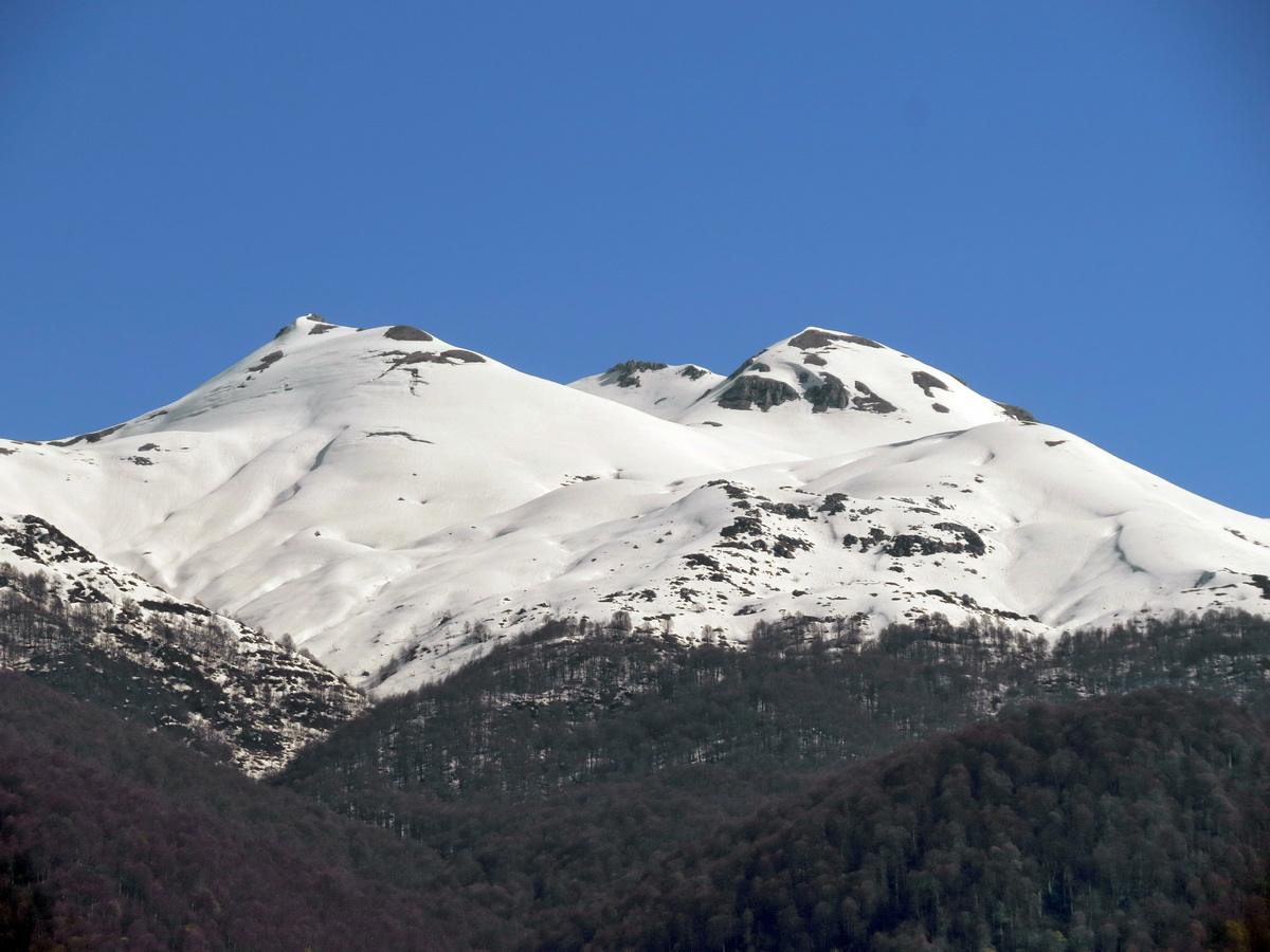 IMG_7604.JPG