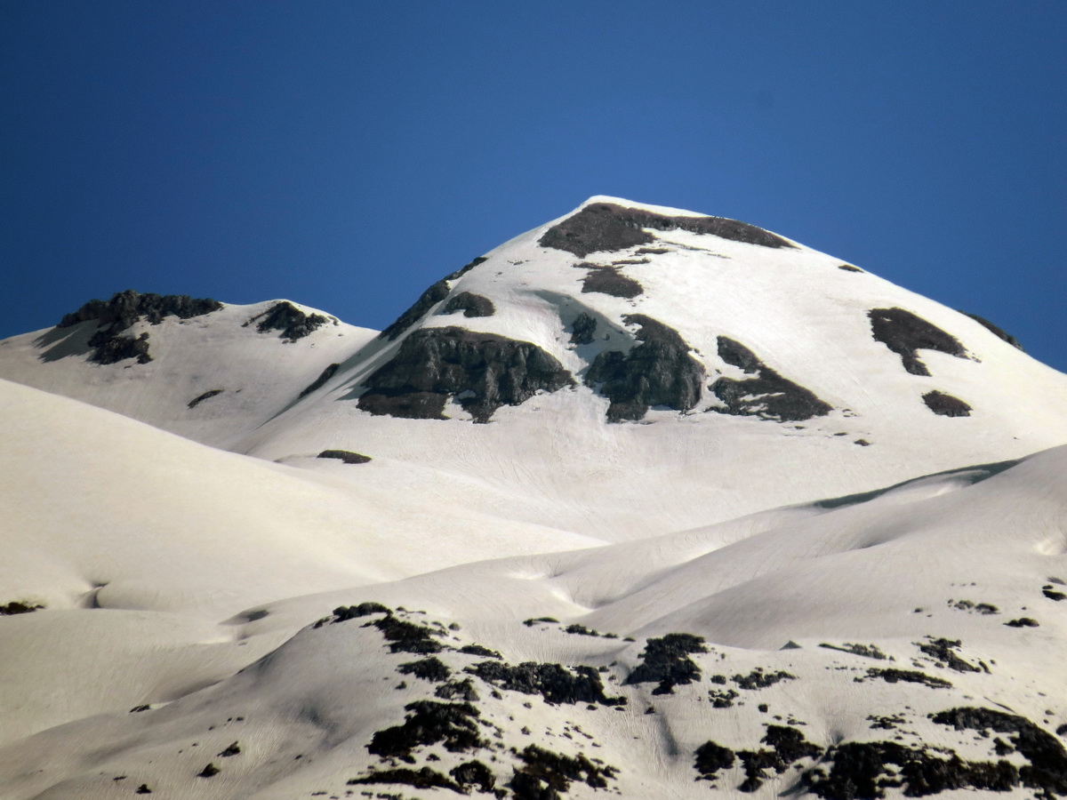 IMG_7605.JPG