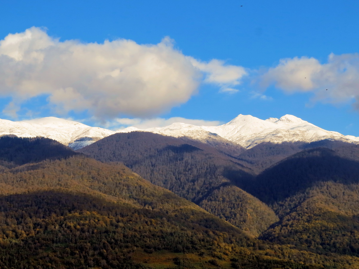 IMG_9070_26-10-2021 Бармыш.JPG