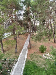 IMG_9184.jpeg