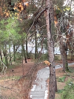 IMG_9193.jpeg