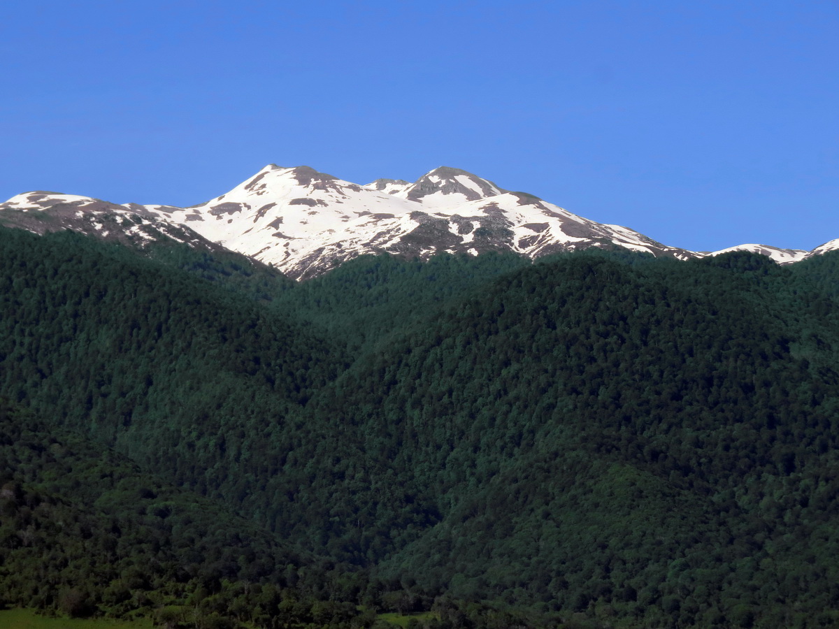 IMG_9218.JPG