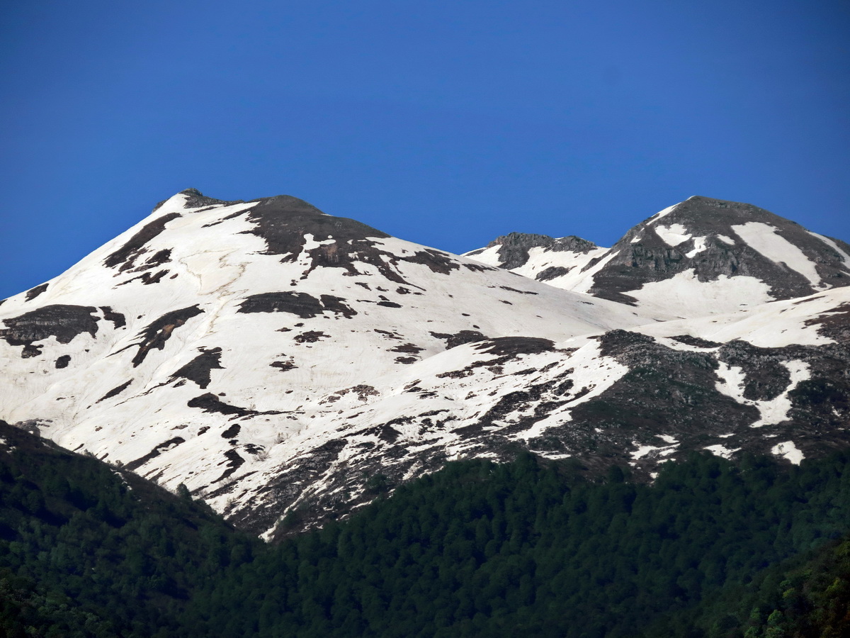 IMG_9219.JPG