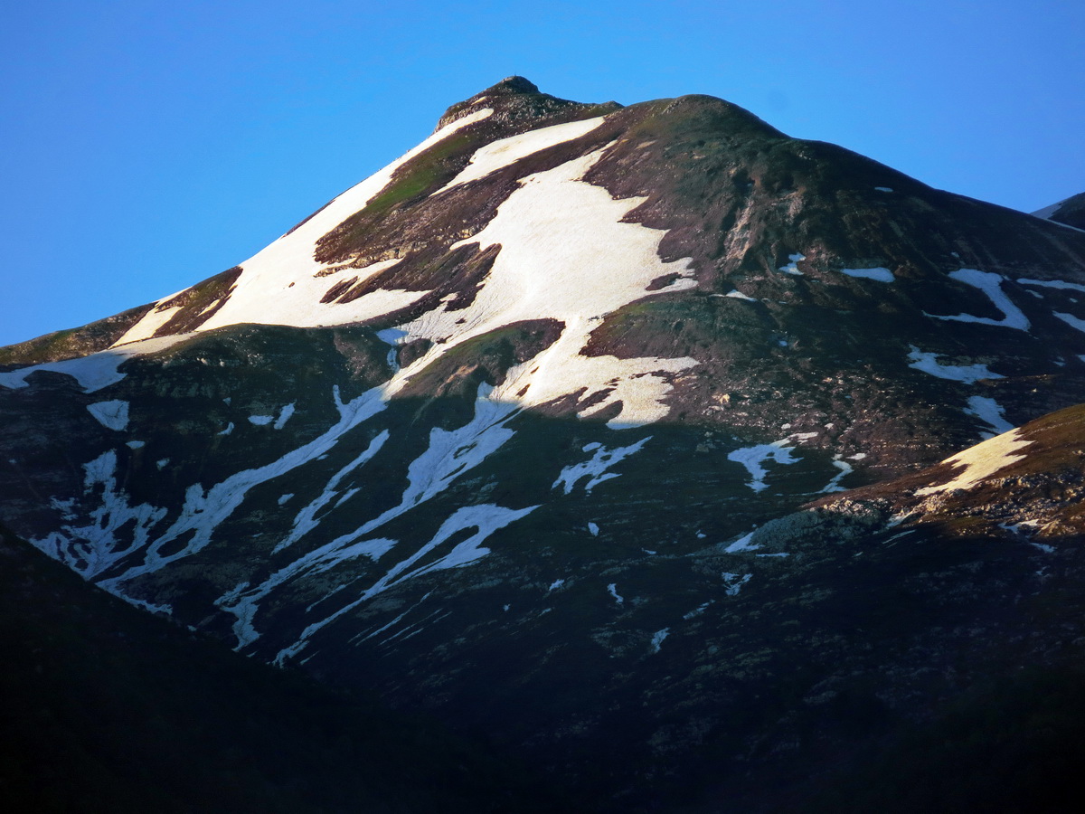 IMG_9279.JPG