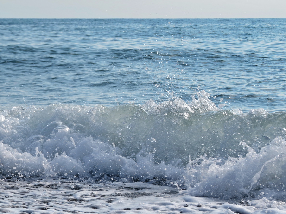 IMG_9670 море.JPG