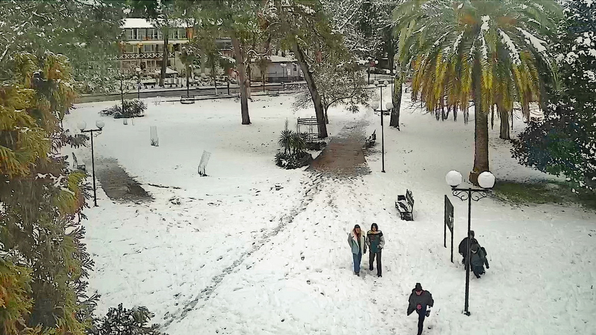 Пицунда парк 25-02-2025.jpg