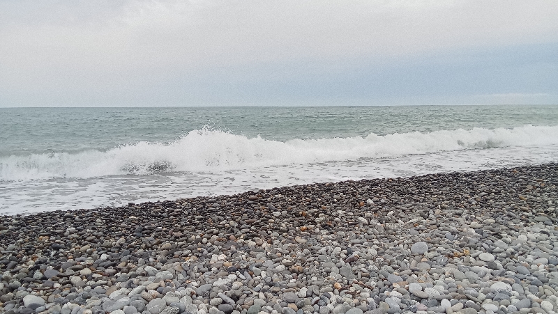 z2_20250511_14331601.jpg