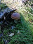 IMG-20200805-WA0007.jpg