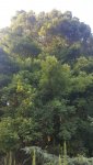 20180821_195504_resized.jpg