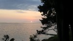 20180822_210356_001_resized.jpg