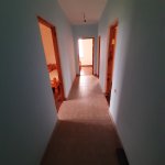 20200811_132623.jpg