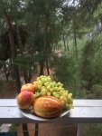VK_Saved_Photo_ 637349219972698161.jpg
