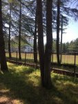 VK_Saved_Photo_ 637357898721814476.jpg