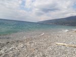 IMG_20200918_122632_resize_21.jpg